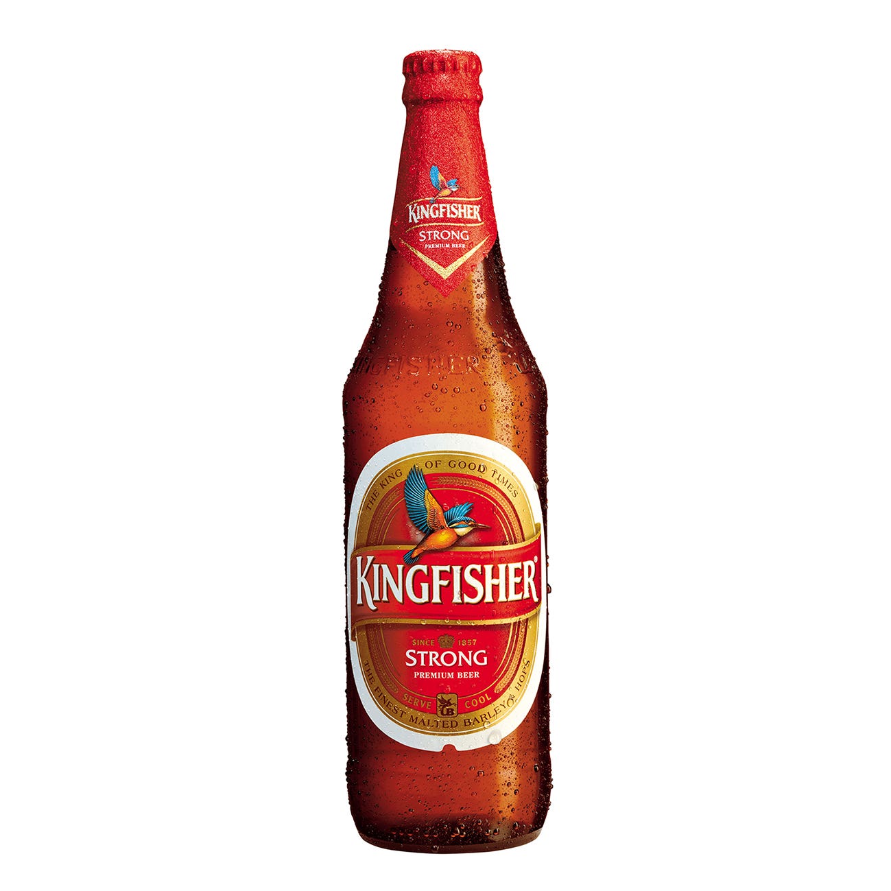 KING FISHER STG PINT BEER